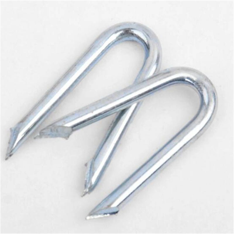 Galvanized U Type Hammer Staples Nail for Fencing