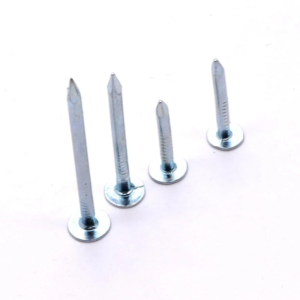 Professional Flat Head Roofing Nails Ceiling Nails Galvanized Cupper Nails