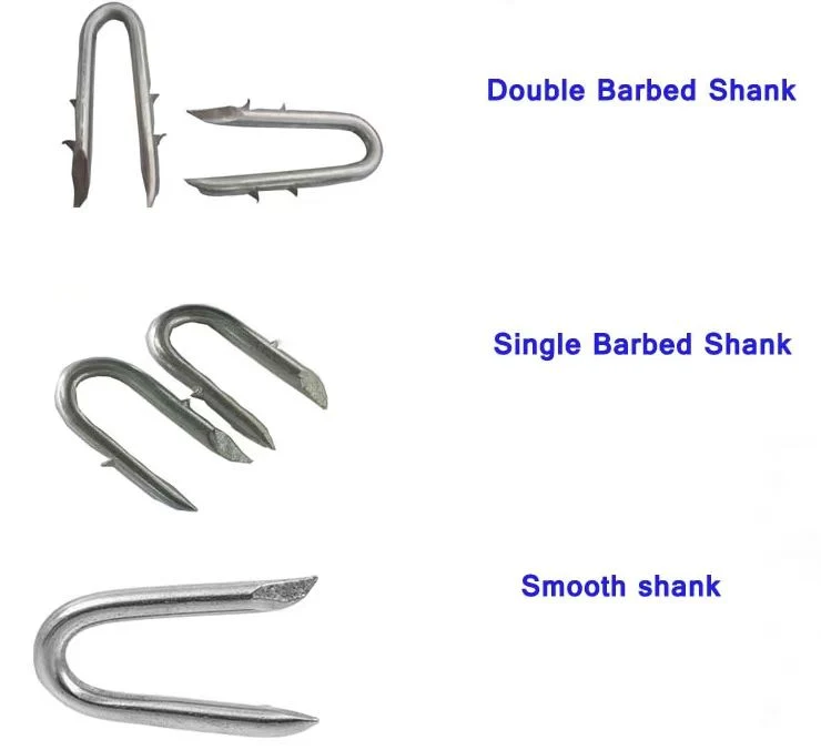 Galvanized Polished/Barbed U Staple Nail/U Fence Nail/U Shape Nail for Fengcing Building