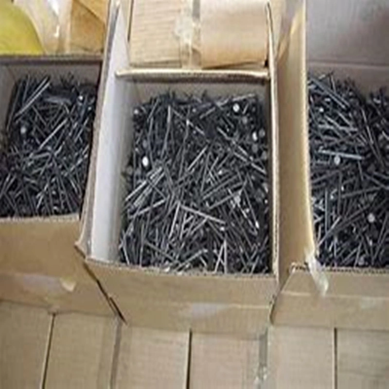 55# Steel Concrete Galvanized Nails, Common Iron Polished Nail for Building Construction