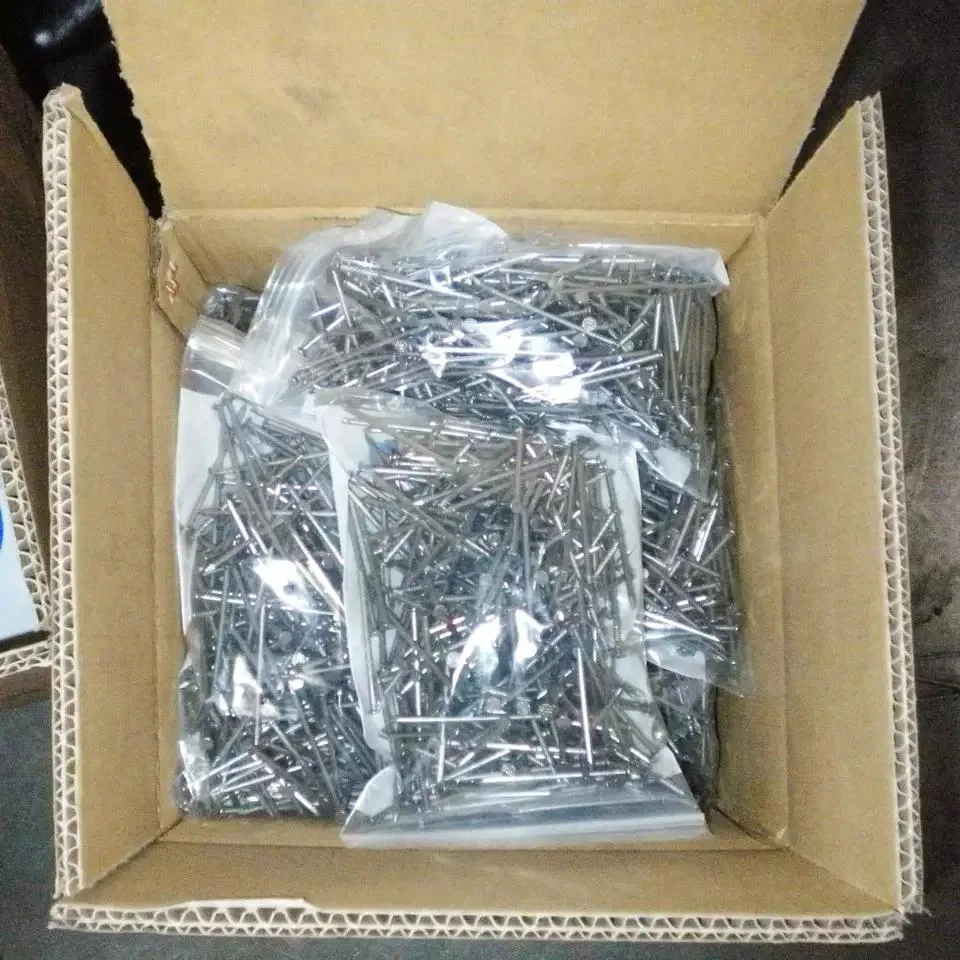 1 Kgs Per Box Common Round Iron Wire Nails