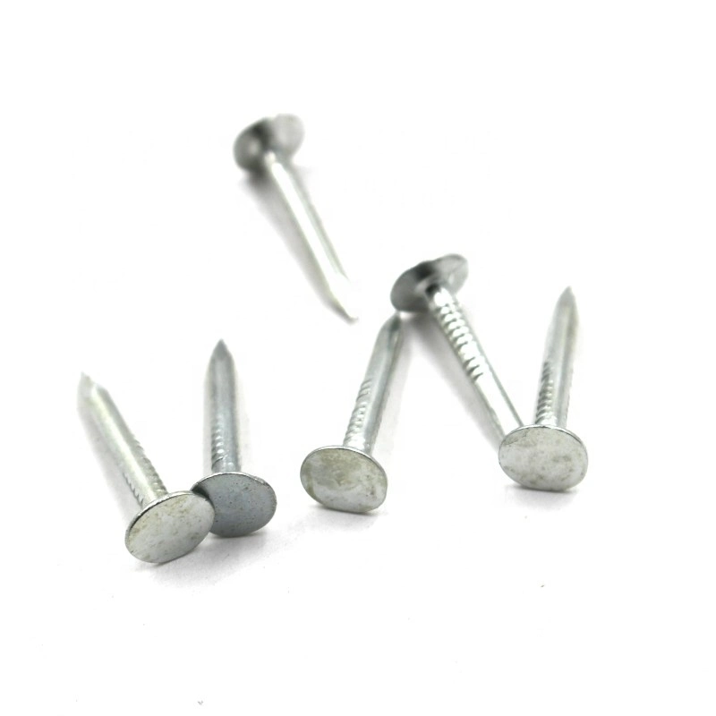 China Concrete Cupper Nails Roofing Nails