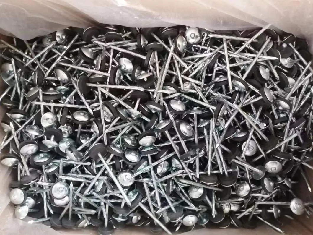 Bright Finishing Zinc Plated Roofing Nails with Umbrella Head for Building