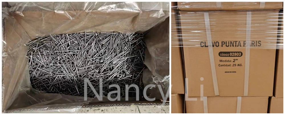 Q195/Q235 Hot Dipped Galvanized Lost Head Nails Brad Nails 20kg/Box