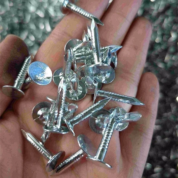 Flat Head Roofing Nail/ Clout Nail/ Big Head Nail/Galvanized Nail