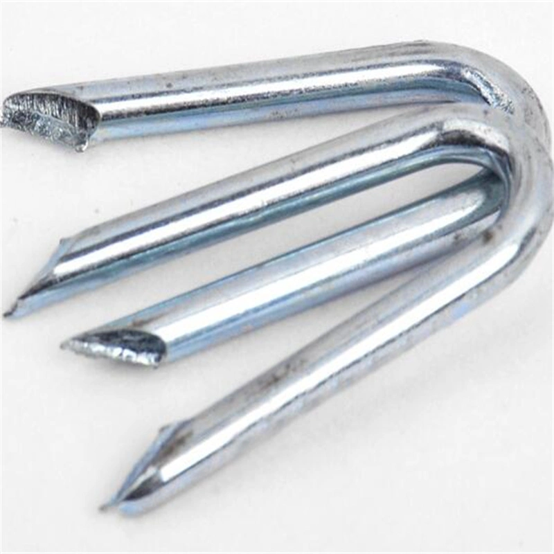 Galvanized U Type Hammer Staples Nail for Fencing