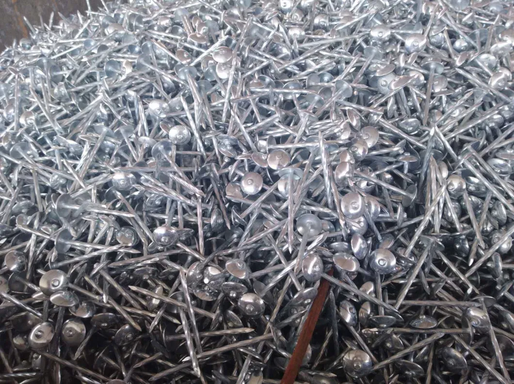 Roofing /Concrete /Clout /Wire Nails for Africa