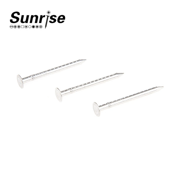 Hollow Shank Clout Nails Screws, Four Hollow-Jagged Shank Nails