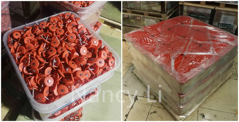 12g X 1inch Electro Galvanized Plastic Cap Roofing Nail Ring Shank Roofing Nails 3000PCS/Pail