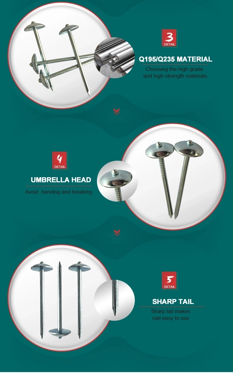 Factory Cheap Price Umbrella Head Brad Roofing Nails