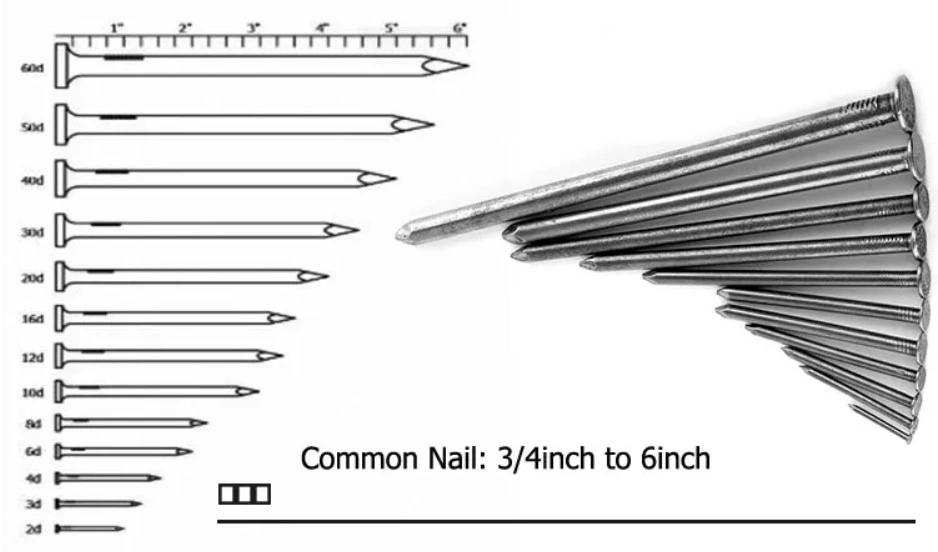 Common Wire Nail Polished 2.5 Inch Wood Nail with Big Head 7kg Bag Hardware Fastener for Construction Material