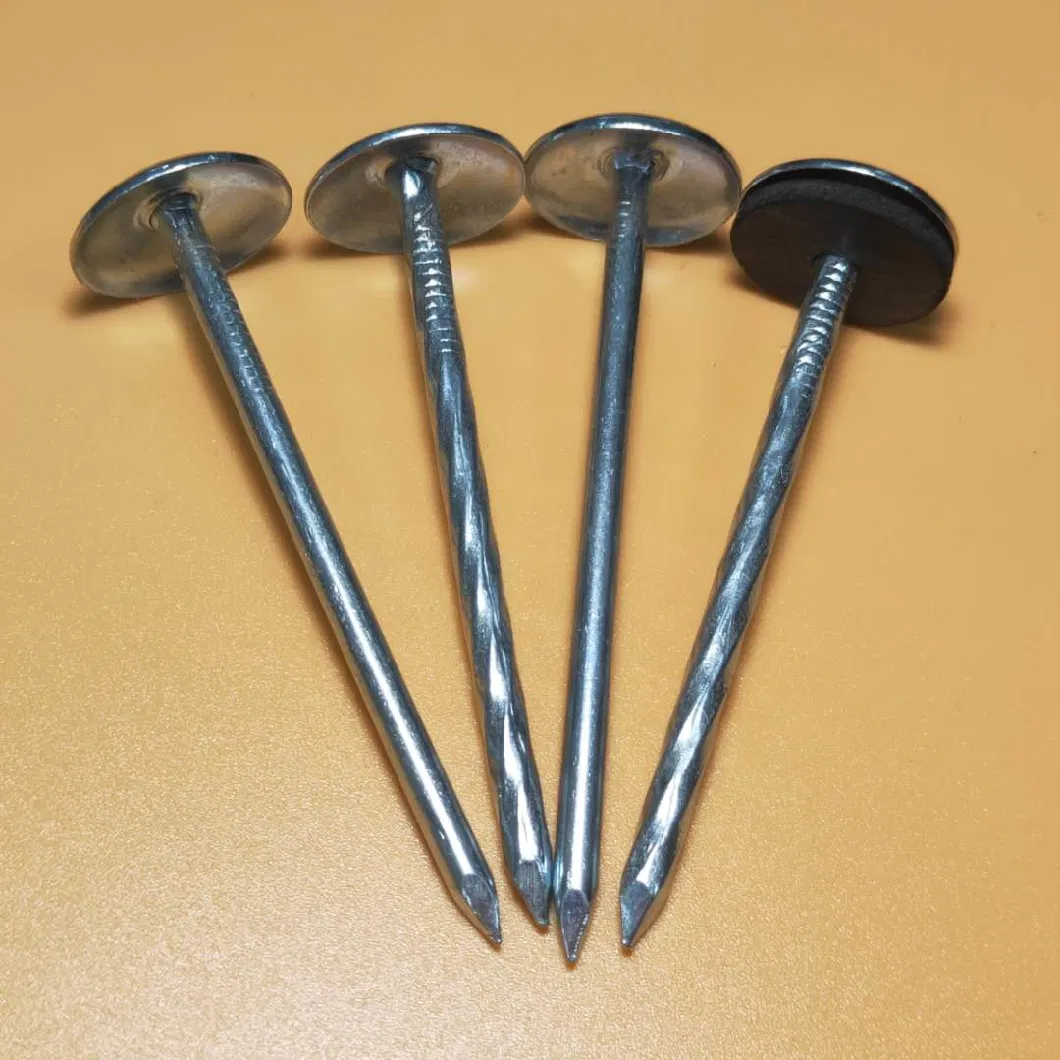 Bwg9 X 2.5 Inch Twisted Umbrella Head Roofing Nails