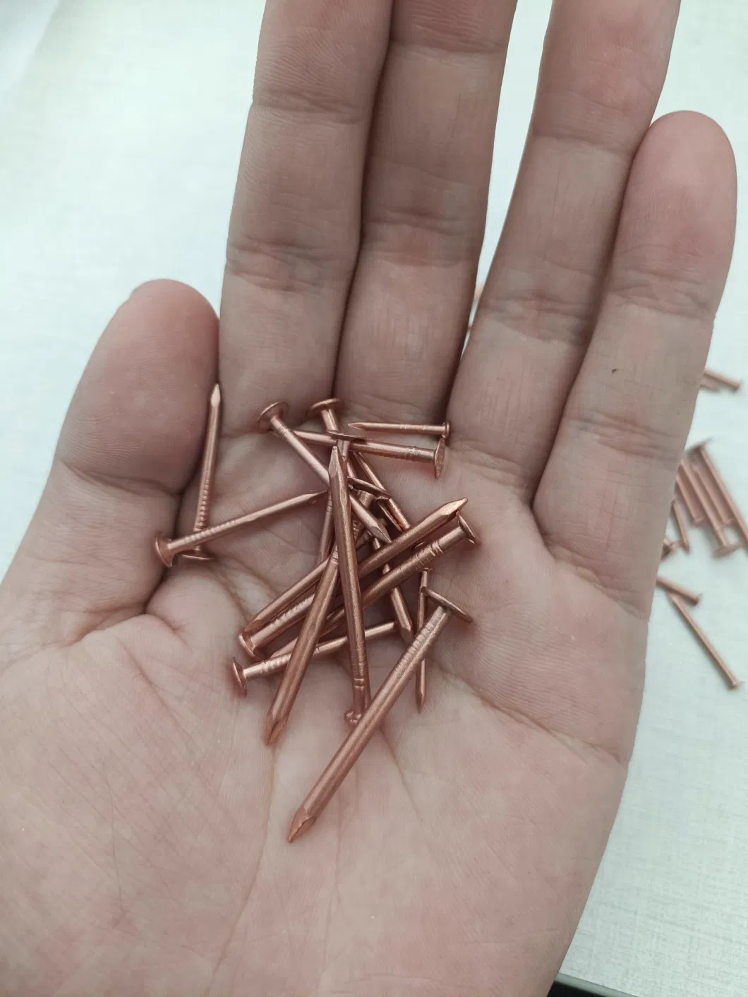 High Quality Cheap Copper Nails Square Shank for Boat Building.