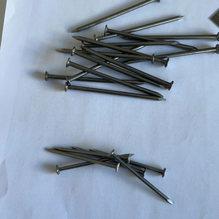 Manufacture Direct Short Lead Time Good Nail Wire Price Per Ton Polished Steel Wire Common Nail for Construction Cheap Price