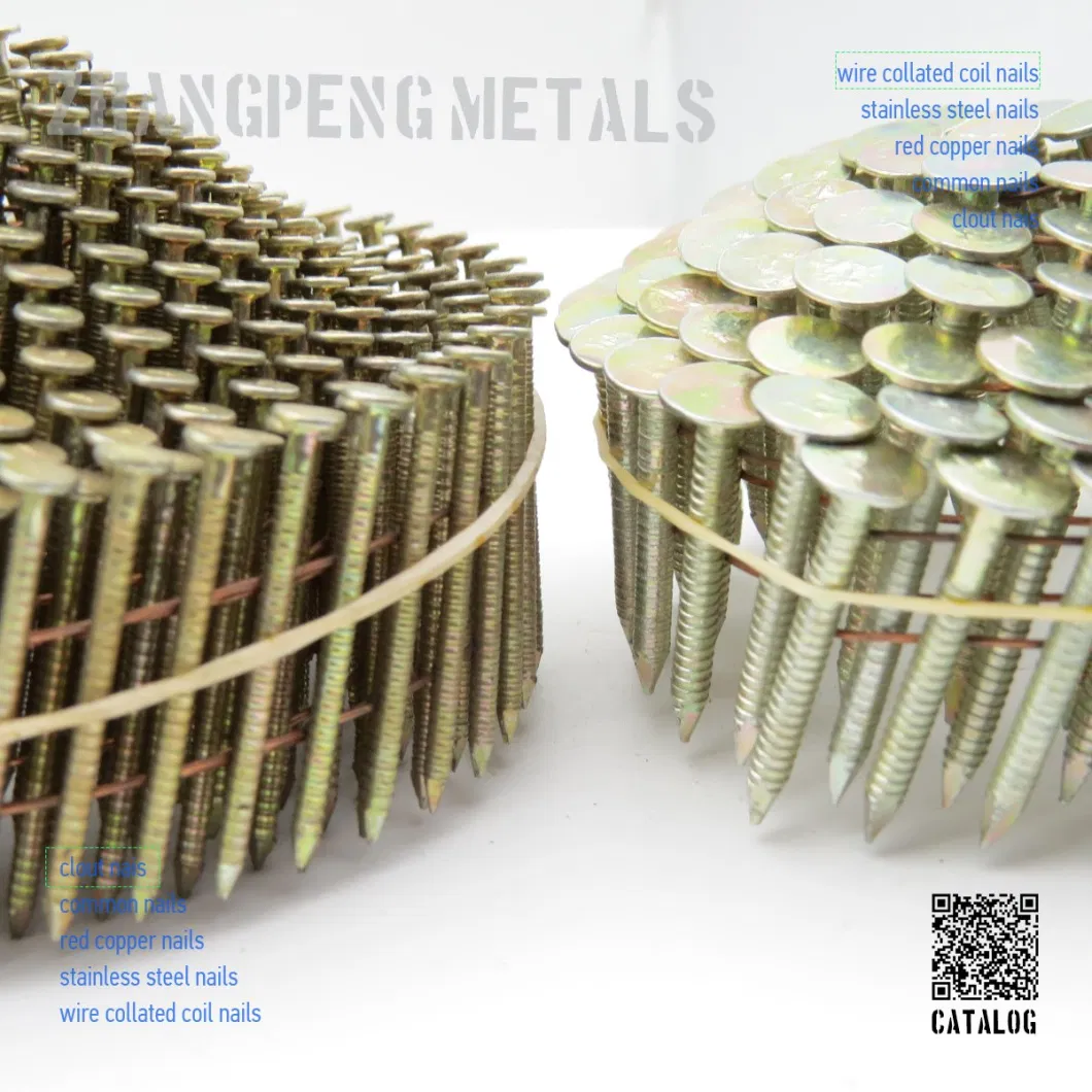 Customized Size Q195 Iron Wire Rod Galvanized Corrugated Umbrella Head Roofing Nail