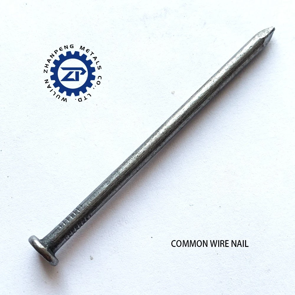 Furniture Accessories Fastener Common Wire Nail