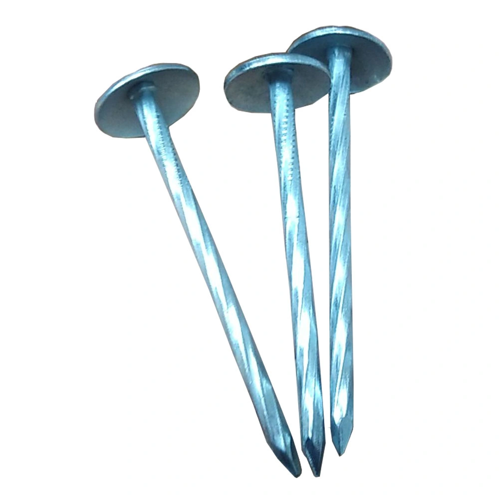 Blue Color Galvanized Umbrella Head Plain Twist Shank Roofing Nail