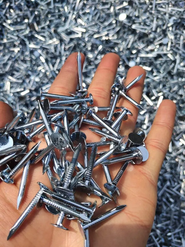 1&quot;*2.8mm Electro Galvanized Roofing Cupper Nails for Nigeria