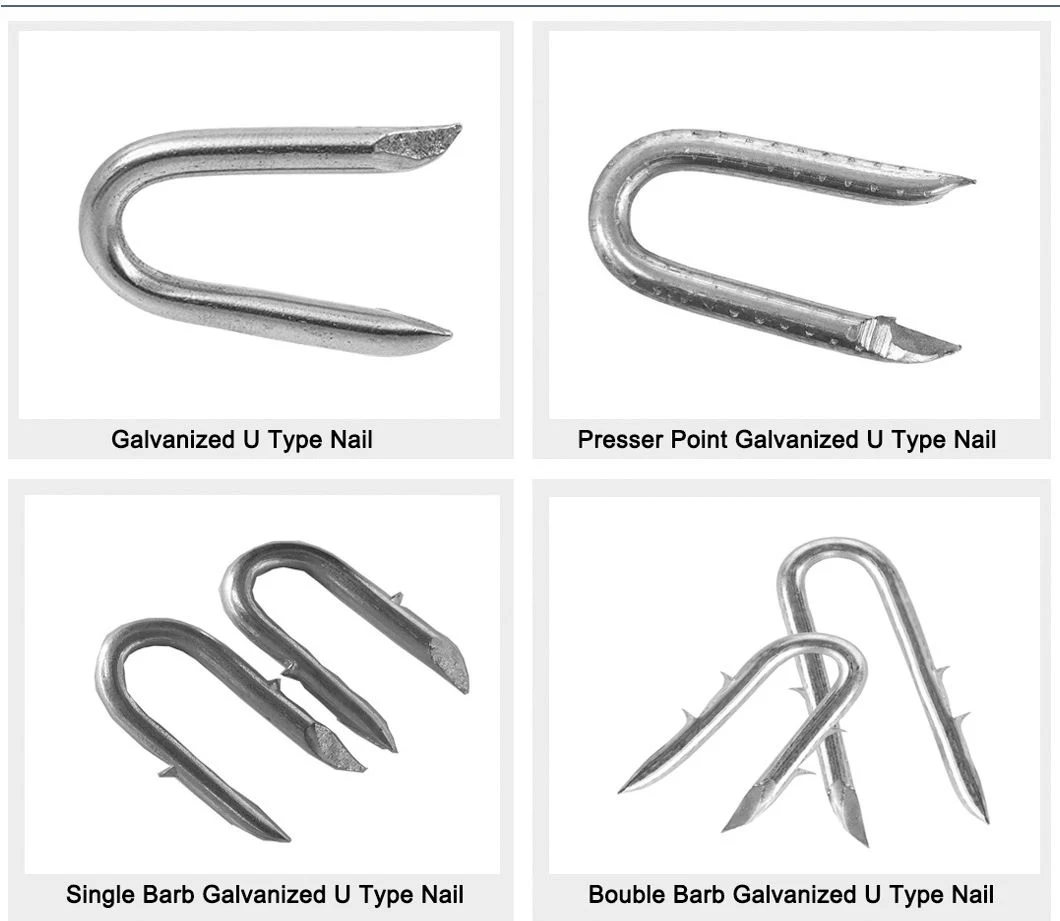 Nail Factory Galvanized U Fence Staples Nails Building Construction U Type Nail