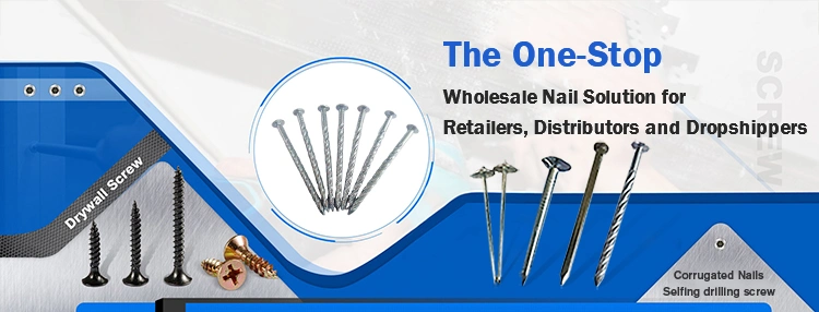 Strong Resistance Stainless Steel Wall Housing Screw Ring Processing Big Nail