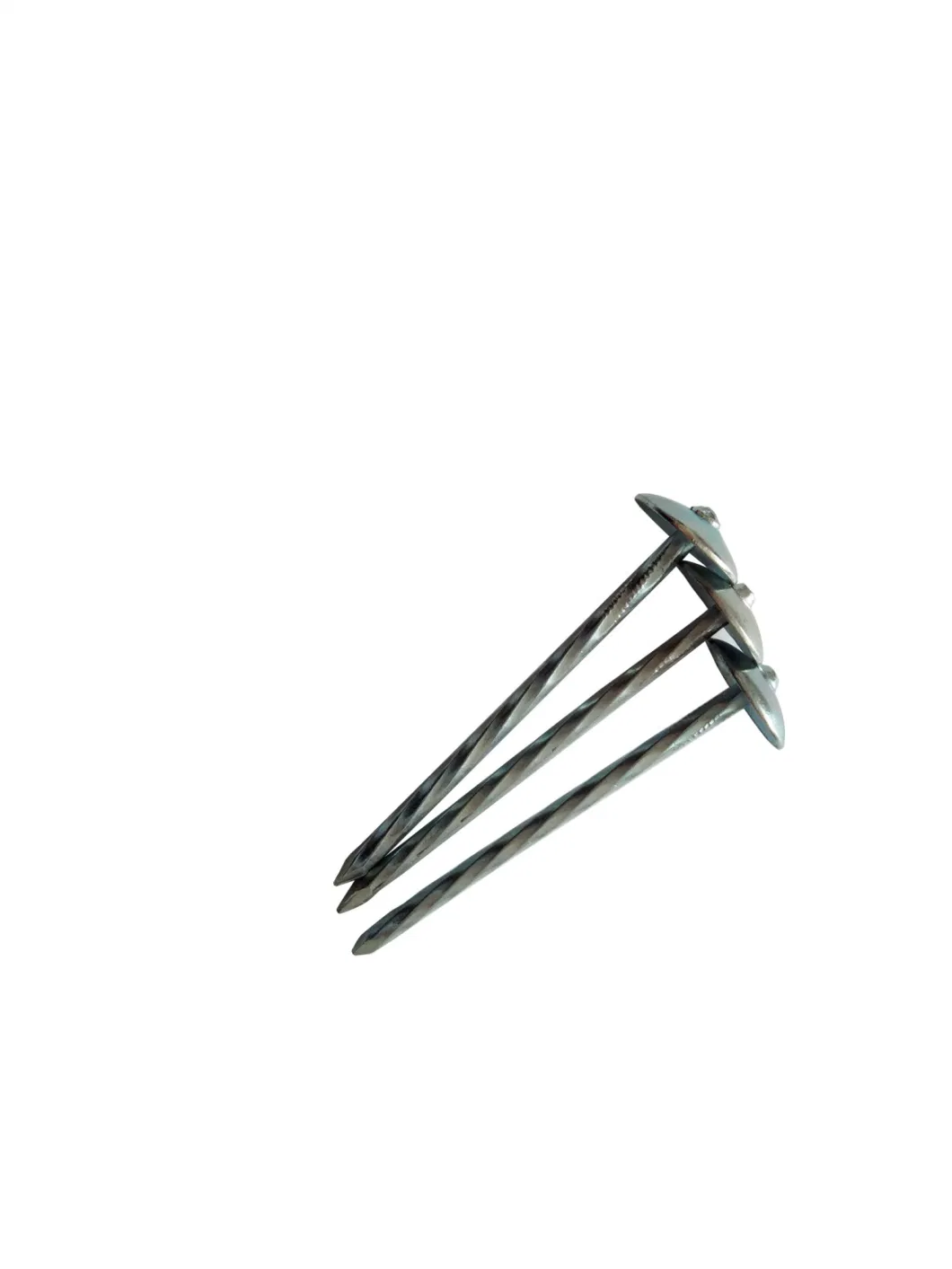 Umbrella Head Roofing Nails