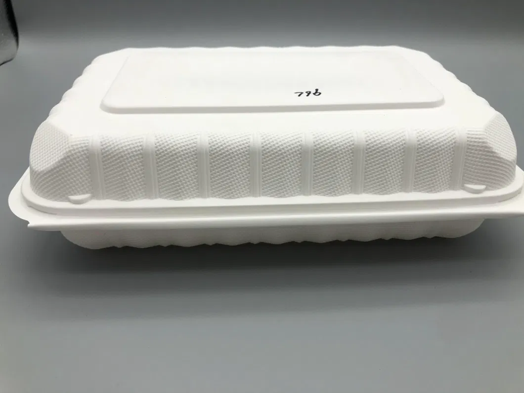 Hotel&amp; Restaurant Food Package Using Disposable Packaging Box