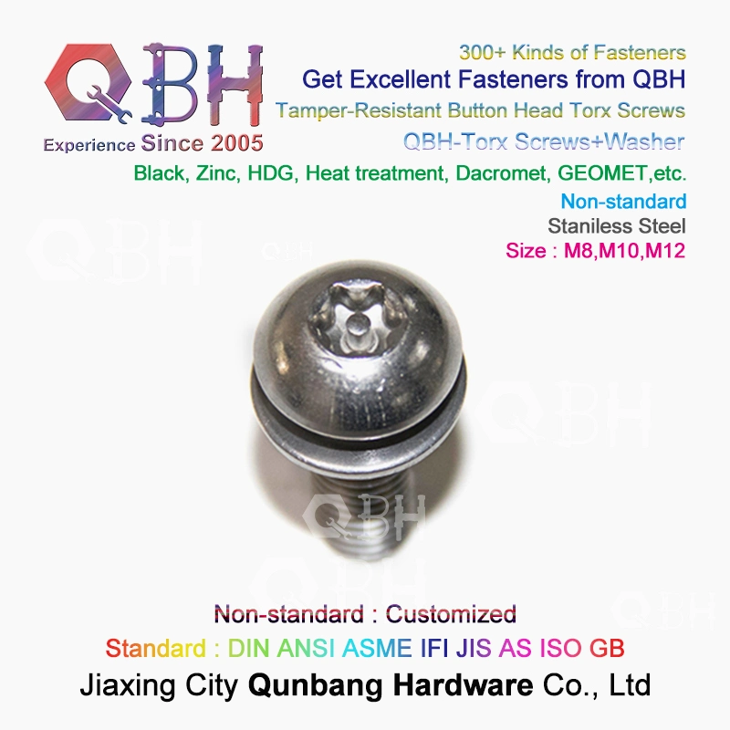 OEM Stainless Steel Ss 304 316 Flower Word Torx Mushroom Button Head Tamper-Resistant Machine Security Screw with Flat/Spring Plain Washers