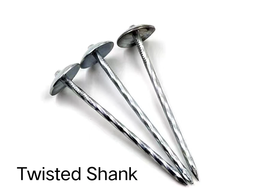 Roofing Nail Umbrella Head Smooth, Twist Shank Galvanized or Color Coated