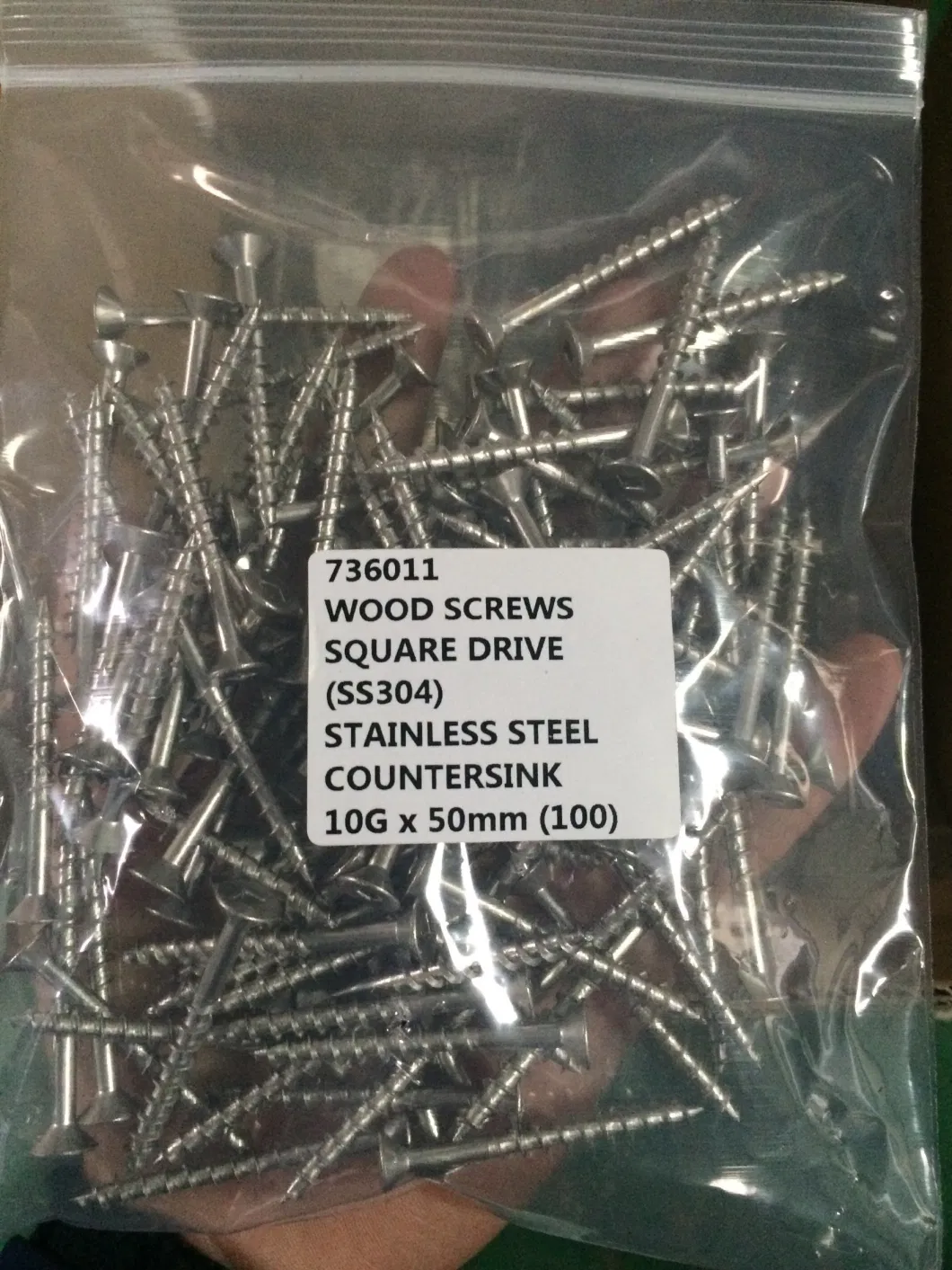 SS304 SS316 Ss201 Stainless Steel Self Tapping Screw