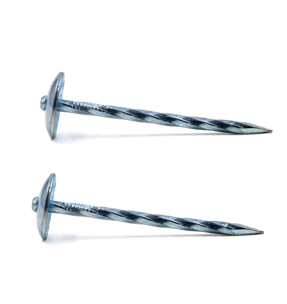 Galvanized Twisted Umbrella Head Nails Roofing Nails in Guangzhou