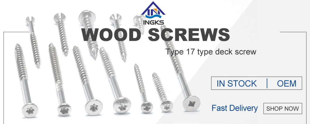 U Type Stainless Steel Torx Csk Head Wood Screw Cutting Point