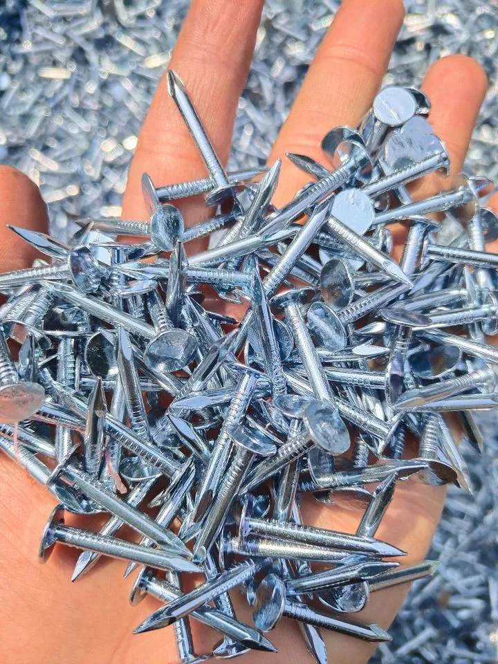 1&quot;*2.8mm Electro Galvanized Roofing Cupper Nails for Nigeria