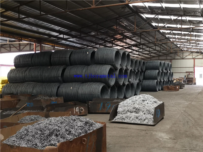 Galvanized Cut Masonry Nail From Tianjin Factory