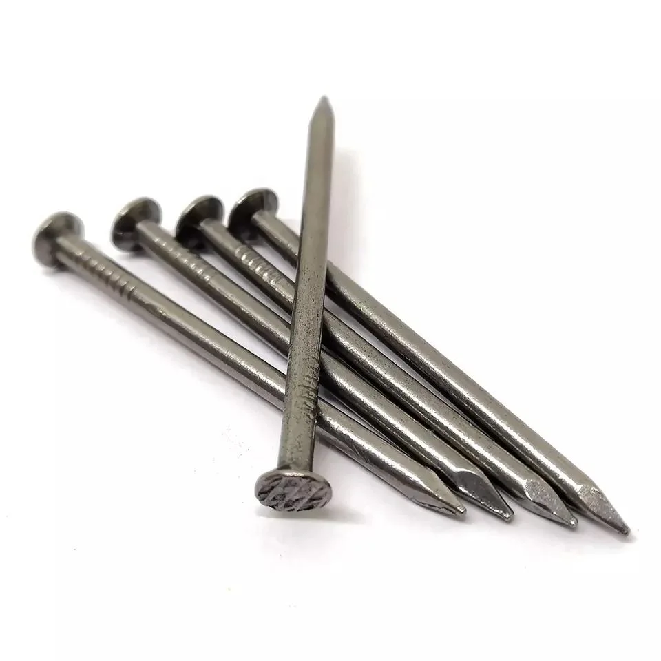 Hot Dipped Galvanized Polished Smooth Shank Common Iron Wood Nail/Clavos for Building