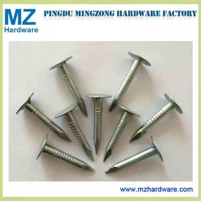 Electro Galvanizado Clavos Terrano Clout Roofing Cupper Nail