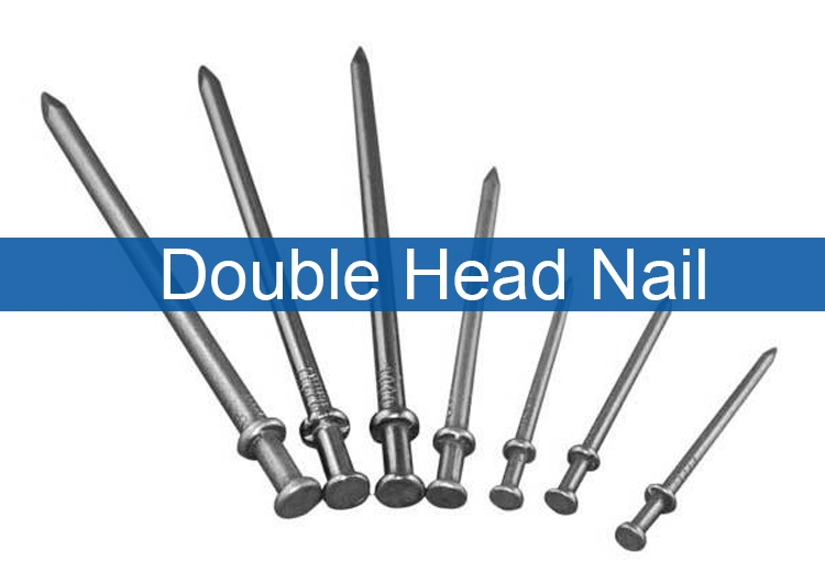 China Factory Polish Galvanized Two Double Head Wire Duplex Nail