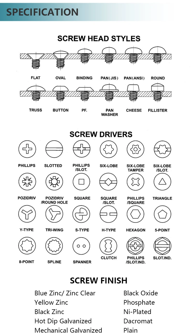 High Quality Pozidrive White Zinc Wood Screws Countersunk Head