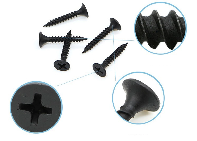 Bugle Head Philips Screw Drywall Screw in Self-Drilling Tips