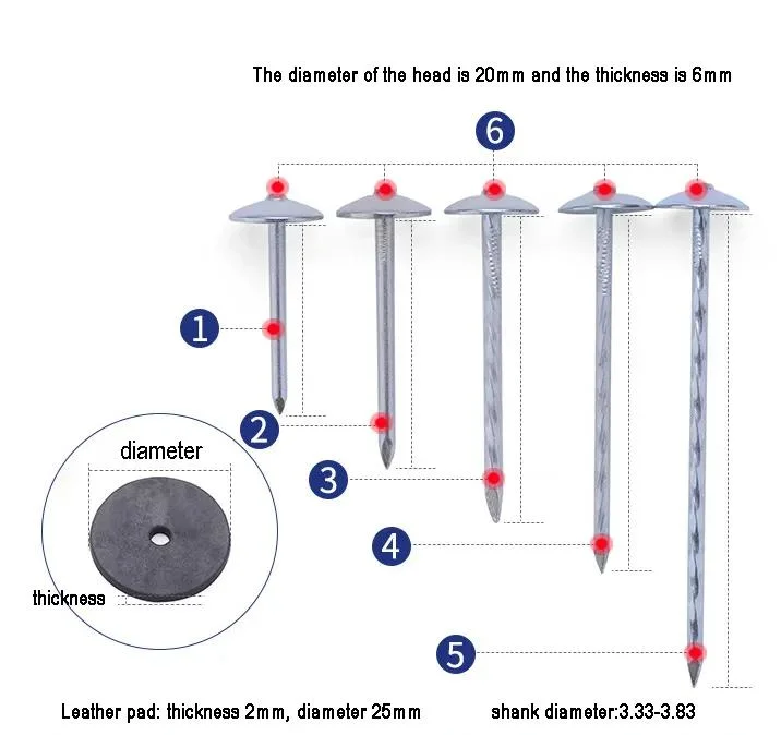 Roofing Nails Umbrella Roof Head Nail Twisted Roofing Nails