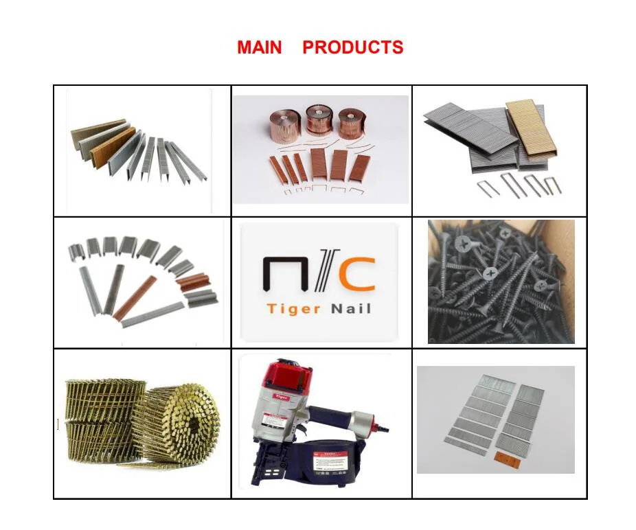 Tiger Standard Pallet Omega16; Omega18; Omega20 Box with Stapler Punch Nail