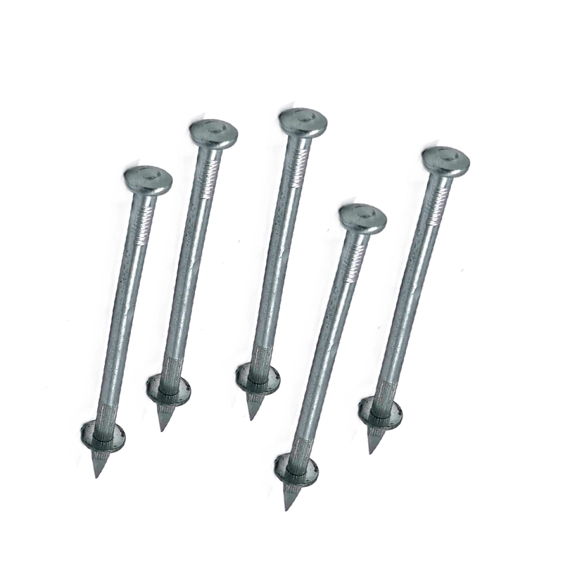 Q195 Polished Nail/Galvanized Iron Nail/ Roofing Nail/Ring Steel Nail/Coil Nail/U Type Nail/Metal Wire Nail for Construction