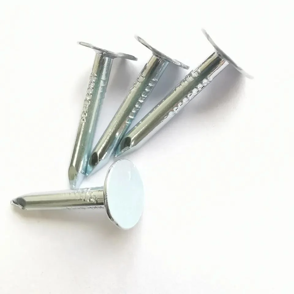 Fine Blue Color Shoe Tack Nails with Cheap Price