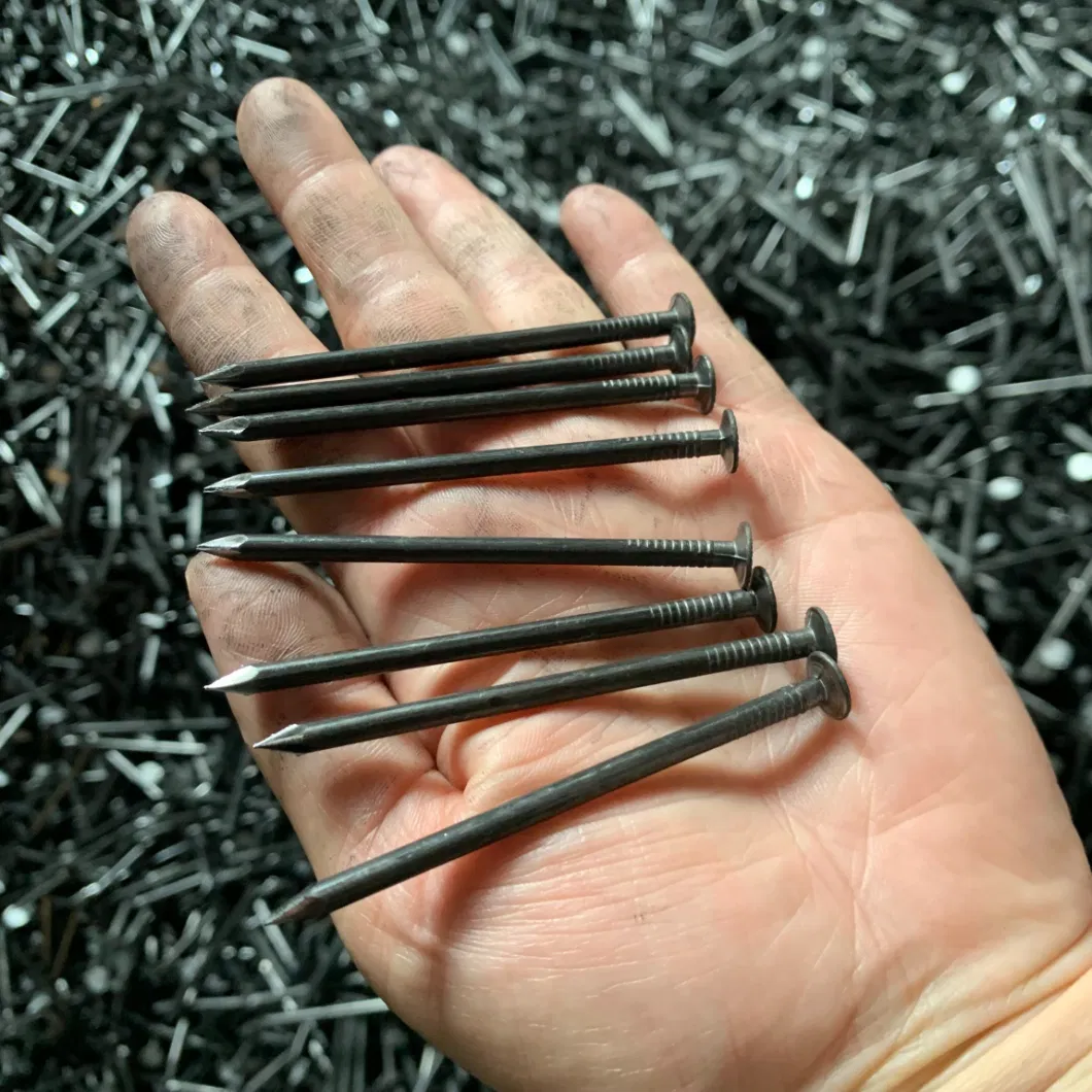 Steel Common Wire Nails Building Polished Flat Head Carpentry Siding Wood Nails for Wood Iron Construction Nail