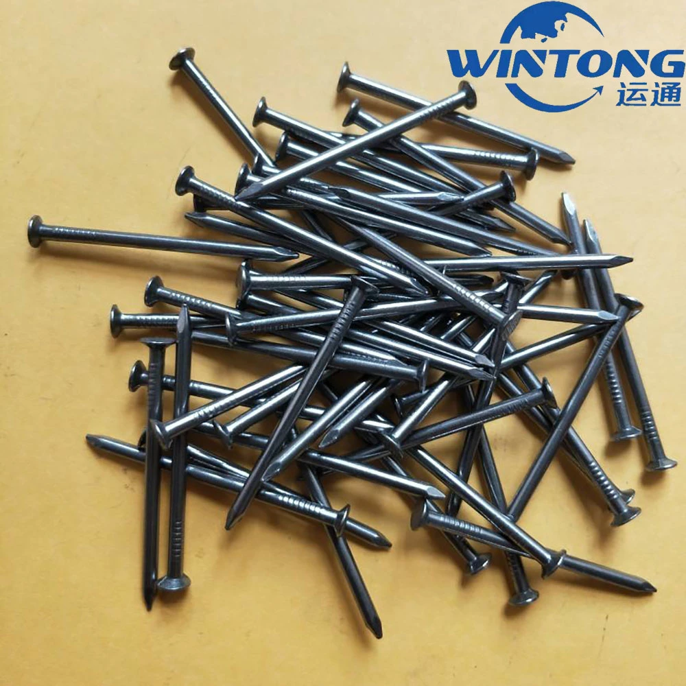 Construction Site Iron Nails/Concrete Nails/Common Round Nails/Building Template Nails