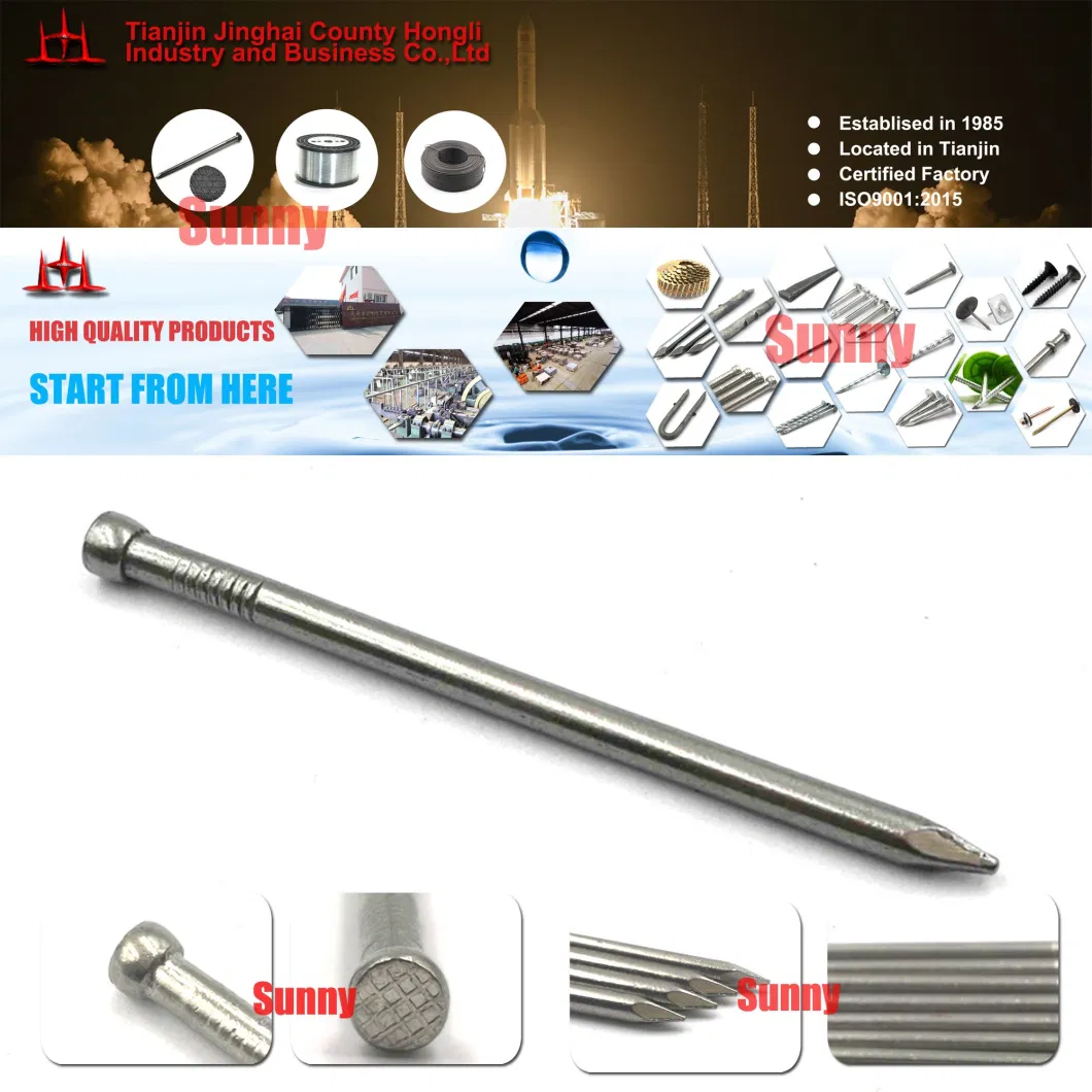 Tianjin Hongli High Quality Bullet Head Nail Headless Wire Nails Polish Brad Nail