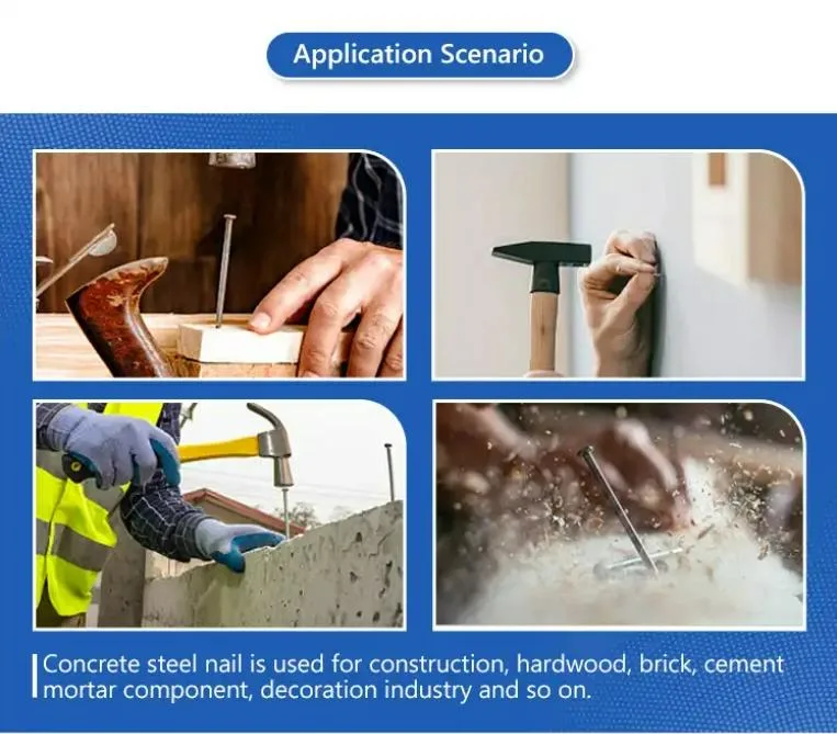 High Quality Concrete Nails on Sale/Offer Excellent Piecing and Fixing Strength for Firm and Strong Sites