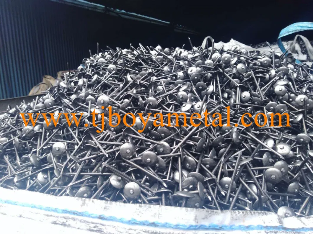 Umbrella Head Roofing Nails Rubber Washer for Peru Market