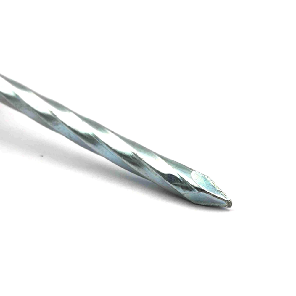 Galvanized Umbrella Head Roofing Nails with Smooth/Twist Shank Manufacturer