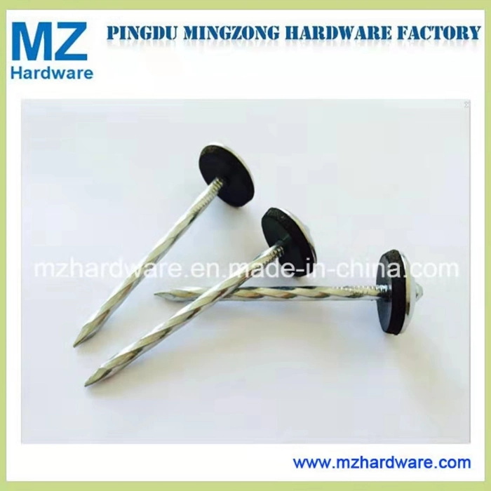 Hardware Nail Galvanized Nail Umbrella Head Twist Smooth Shank Roofing Nail