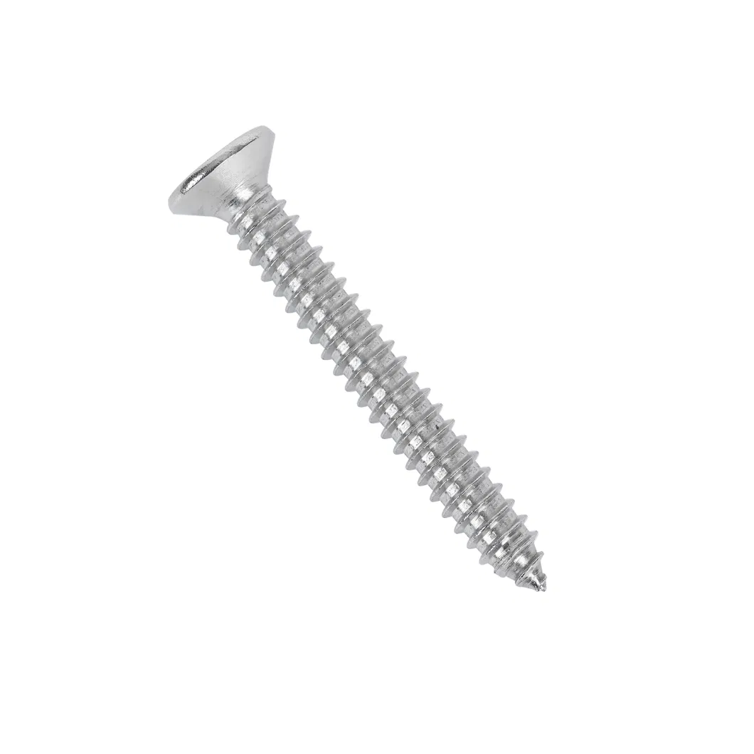 SS304 SS316 Ss201 Stainless Steel Self Tapping Screw